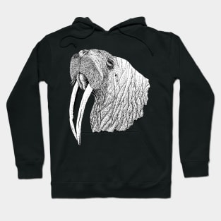 Walrus Hoodie